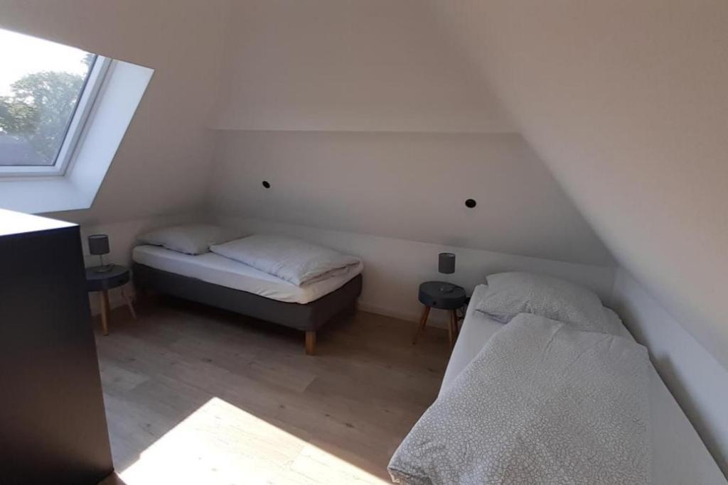 Fh Magnolia Fuer 12 Pers. Mit Terrasse + Dachterasse Villa Борн Екстериор снимка