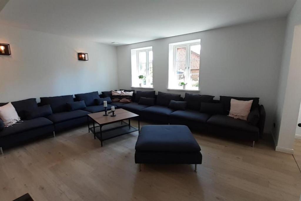 Fh Magnolia Fuer 12 Pers. Mit Terrasse + Dachterasse Villa Борн Екстериор снимка
