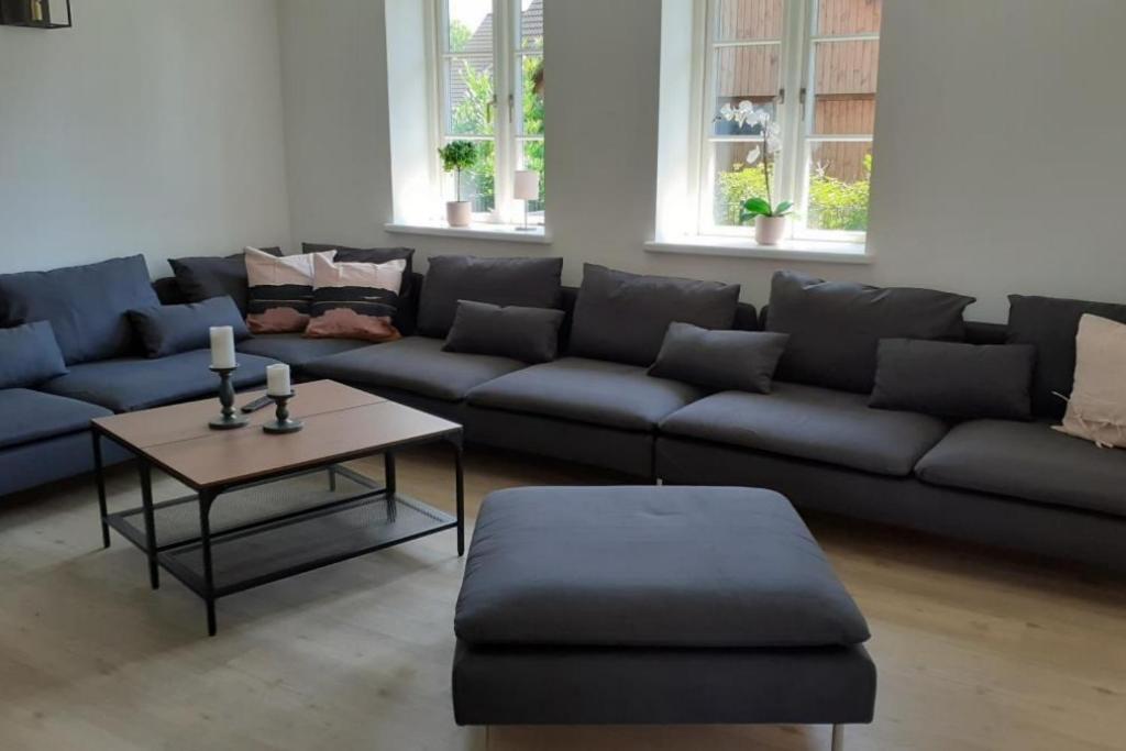 Fh Magnolia Fuer 12 Pers. Mit Terrasse + Dachterasse Villa Борн Екстериор снимка